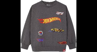 HOT WHEELS Hot Wheels® Sweatshirt voor jongens