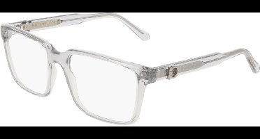 Ferragamo SF3028E Transparent grey 55/17/145 MAN Brilmonturen