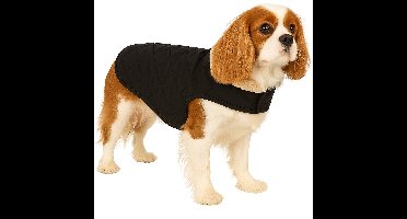 Hondenjas – Flamingo Bonnie – honden jas – hondenjasjes winter – hondenjas waterdicht – 40 cm – A:40cm B:34-40cm C:54-60cm – zwart