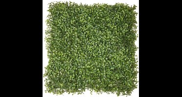 Emerald - Kunst Plantenwand Buxus UV 50x50cm - Kunstplant voor binnen