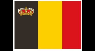Belgische vlag met kroon 20X30cm