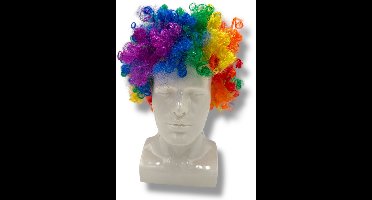 Regenboog Pruik – Afro Krullen – Pride Feestpruik voor Volwassenen – One Size