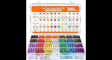 Autozekeringen - Autozekeringenset - Gemengde Autozekeringensets 300 Stuks - Voor Auto’s Trucks SUV’s ATV’s - Transparent