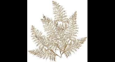 Decoris Kunstplant tak varen - 4x - goud - 80 x 30 cm - kunststof - metallic glans - decoratie takken en twijgen