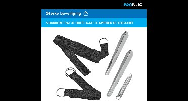 ProPlus Stormbandset - 12,5M - Spanbanden - Geschikt voor Caravan- en Camperluifels - Inclusief Haringen - Zwart