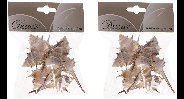 Decoris Decoratie schelpen Thorn - 3x zakjes - 6 cm - Natuurlijke schelpjes - Maritiem - strand thema - woondecoratie