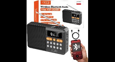 Zenwire Vibe YSF-005BT - FM-radio - Luidspreker - Bluetooth - Draagbaar - SD-kaartlezer - Piekvermogen - 13 W - Werkt op batterijen - Mini-jack - USB - USB-C - Telescopische antenne - LCD-scherm