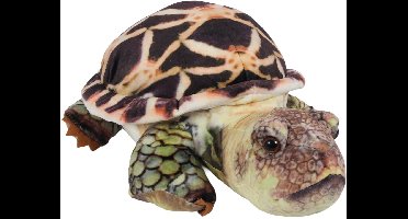 PIA Soft Toys - Pluche Knuffeldier Schildpad - 35 cm