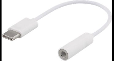USB-C adapter - naar mini jack