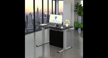 Ergonomisch Verstelbaar Bureau - 120x60 cm - Zwart Blad met Grijs Frame - Elektrisch In Hoogte Verstelbaar Bureau met Dubbele Motoren
