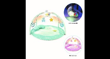 Baby Gym kleurenplezier Blauw