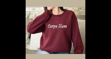 Bordeaux Dames sweater maat 3XL-Carpe Diem- heerlijke dames sweater.