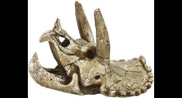 Superfish Skull Triceratops