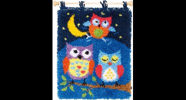 Vervaco - Knooptapijt kit - Uiltjes in de nacht - PN-0154926 - Borduren - Borduurpakket - Borduurpakket volwassenen - Borduurpakket kind