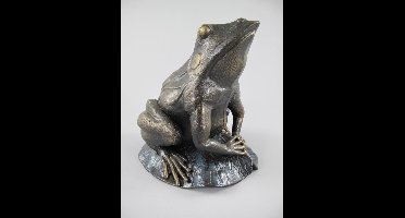 MadDeco - Gietijzeren - beeldje - kikker - groot - formaat