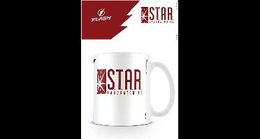 DC Comics The Flash Star Labs Mok