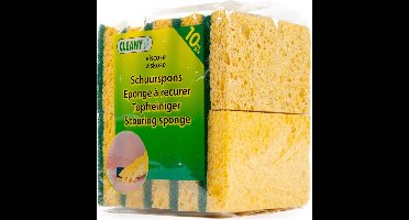 Viscose Schuurspons Set van 10