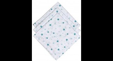 Briljant Baby Monddoekje Don jade (3 stuks)