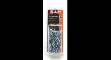 SAM Gipsplaatnagel ca. 100 gram 2.7x32mm 815218 E2