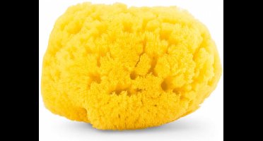 Chicco Zeespons 100% Natuurlijk Baby Moments Junior 9 Cm Geel