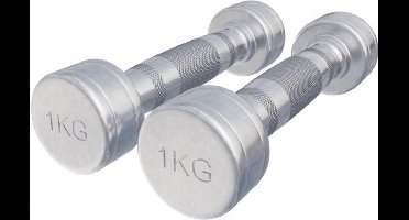 Gorilla Sports Dumbellset 2 kg - 2x1 kg - Halterset - Vaste dumbbells - Chroom