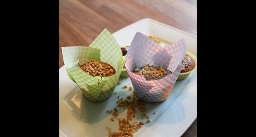 Bakvormpjes Ø 5 cm · 8,5 cm assorti kleuren "Tulip" (48 stuks)