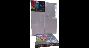 Nassau Fine Art Multipack Schilderset 2pcs. - Hobbyist - Volwassenen -Kinderen- Leren schilderen - 40x50cm-20x50cm-20x25cm-12.5x17.5cm - 24 * 12ml acrylverf 12 Kwasten Verjaardagscadeau Moederdag Vaderdag