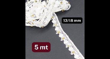 5 Meter MACRAME LINT, Breedte 20MM, Met Gouden Paillettes, Kleur ECRU/GOUD