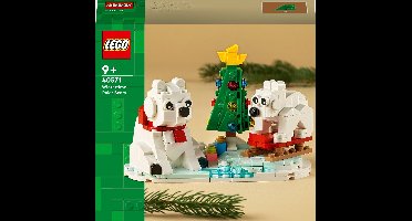 LEGO IJsberen in de winter - 40571