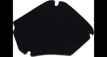 Luchtfilter Element Piaggio Zip 4t 3V IGET Euro4 & Euro5 Replica