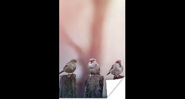 Poster Vogels - Mussen - Paaltjes - Hout - 20x30 cm