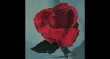 Metz - Up On Gravity Hill (CD)