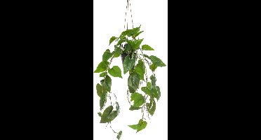 Emerald - Kunst Hangplant in pot Philodendron Scandens 80cm - Kunstplant voor binnen