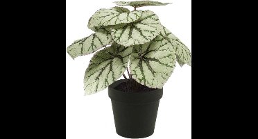 Emerald - Kunstplant in pot Begonia grijs 25cm - Kunstplant voor binnen
