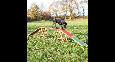 Trixie dog activity agility hondenloop 456x64x30 cm