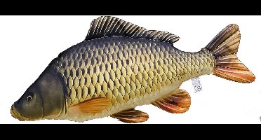 Eurocatch Karper Common Kussen Gigant - Knuffel - Sierkussen - Visknuffel - 100cm