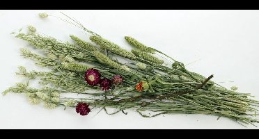 Esve pet bouqet weidegewas