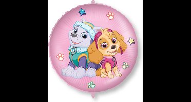 Vegaoo - Skye en Everest folieballon 46 cm