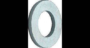 Kelfort Sluitring Gegalvaniseerd M14 - 100 st