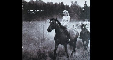 Mikkel Mark Trio - Touching (CD)