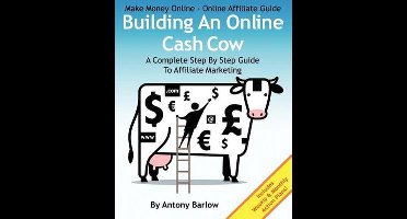 Make Money Online - Online Affiliate Guide: Building An Onli