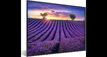 PosterMonkey - Poster - Fotolijst - Bloemen - Zonsondergang - Lavendel - Landschap - Bomen - Poster met frame - 80x60 cm - Kader - Posterlijst - Foto in lijst - Poster natuur - Poster lavendel