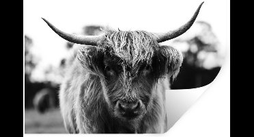 Muurstickers - Sticker Folie - Schotse Hooglander - Koe - Gras - Dieren - Natuur - 30x20 cm - Plakfolie - Muurstickers Kinderkamer - Zelfklevend Behang - Zelfklevend behangpapier - Stickerfolie