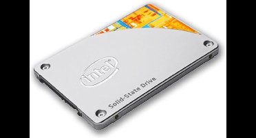 Intel SSD SSDSC2BF180H501 – 180GB – 2.5 SATA – Snel, Stil & Betrouwbaar