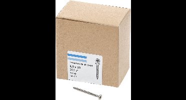 Hoenderdaal Spaanplaatschroef RVS platverzonken kop TX20 voldraad 4.0X50 (per 200 stuks)