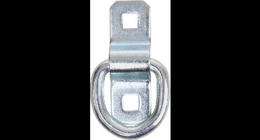 ProPlus Sjoroog - Opbouw - Maximale belasting 800 kg - 90 x 57 mm - Ø 10 mm