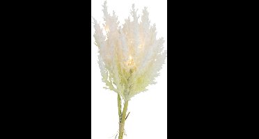 Non-branded Decoratietak Astilbe Led 25,4 Cm Zeide Crème