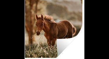 Muurstickers - Sticker Folie - Paard - Licht - Weide - 30x30 cm - Plakfolie - Muurstickers Kinderkamer - Zelfklevend Behang - Zelfklevend behangpapier - Stickerfolie