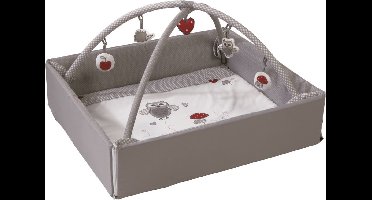 Babygym, Baby cadeau - jongen & meisje, Dierenvriendjes Speelmat, Interactief Speelgoed - Multikleuren.