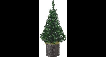 Volle kunst kerstboom 75 cm inclusief donkergrijze pot - Kunstkerstbomen middelgroot